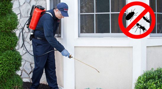 Malazgirt Hamam Böceği İlaçlama böcek ilaçlama ve haşere kontrolü — ilaclama-tr.com